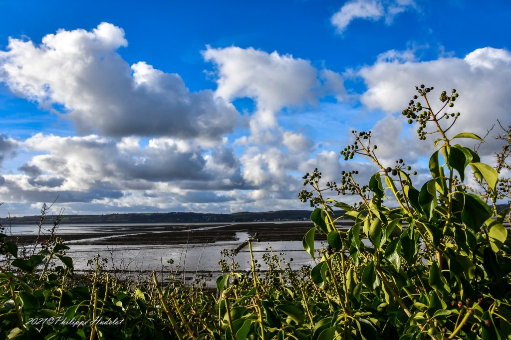 Une vue de la baie de Saint-Vaast-la-Hougue Les parc à huitres. Noël en marée basse.