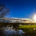 Cotentin, le Marais du bessin (Néhou) - Hudelot Philippe - Photographe