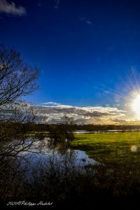 Les secrets enchanteurs des marais du Cotentin