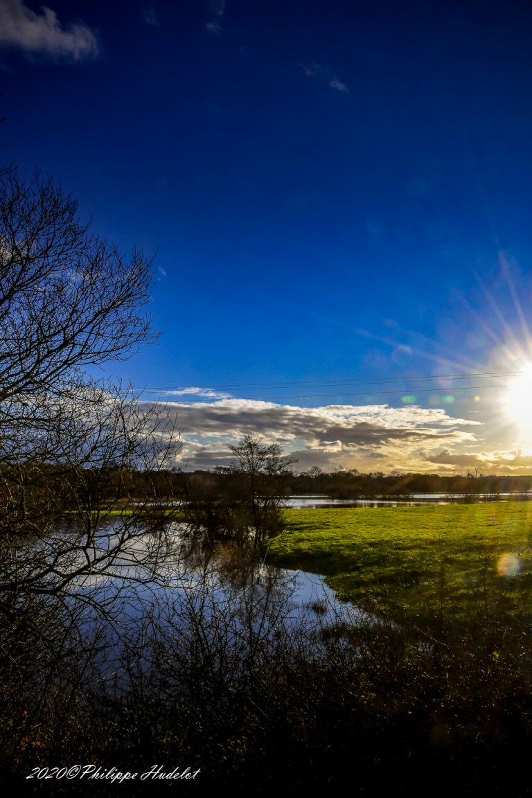 Cotentin, le Marais du bessin (Néhou) - Hudelot Philippe - Photographe