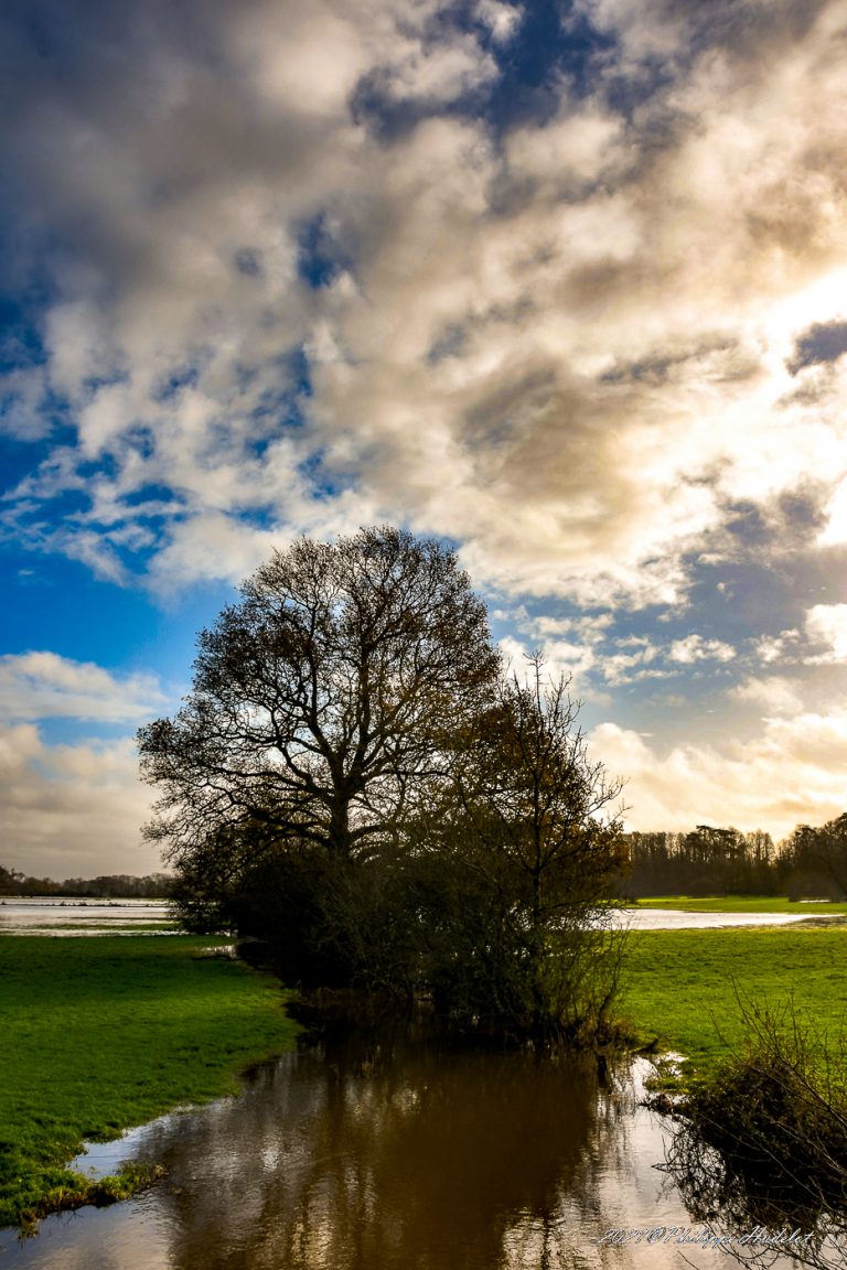 Les secrets enchanteurs des marais du Cotentin