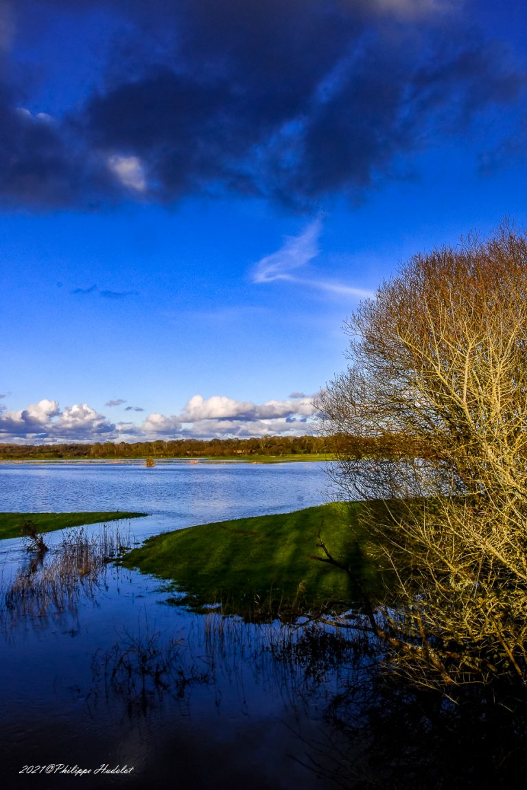 Cotentin, le Marais du bessin (Néhou) - Hudelot Philippe - Photographe