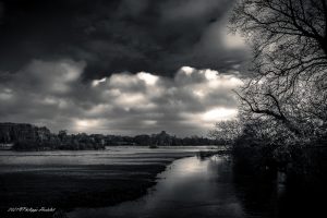 Les secrets enchanteurs des marais du Cotentin