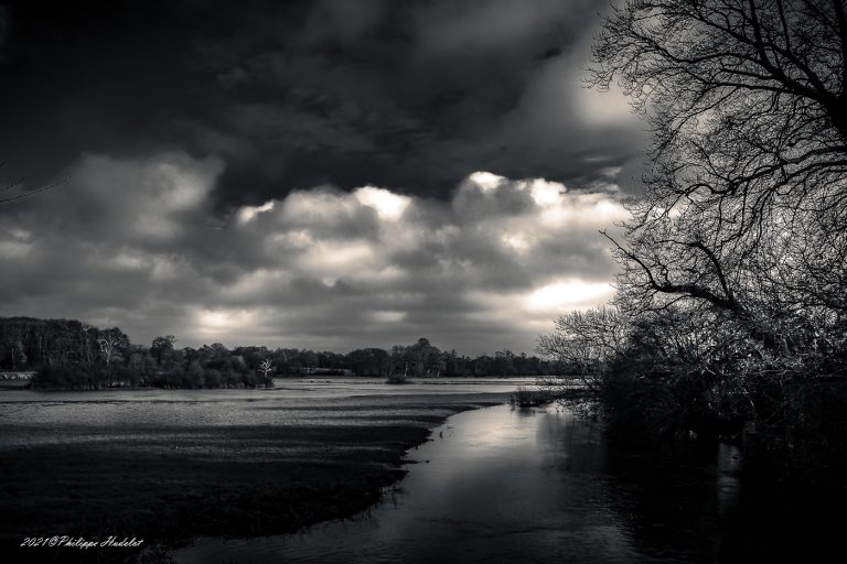 Cotentin, le Marais du bessin (Néhou) en boir et blanc - Hudelot Philippe - Photographe