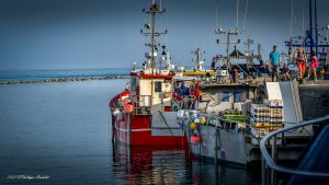 Une vue du Port Barneville-Carteret dans le Cotentin