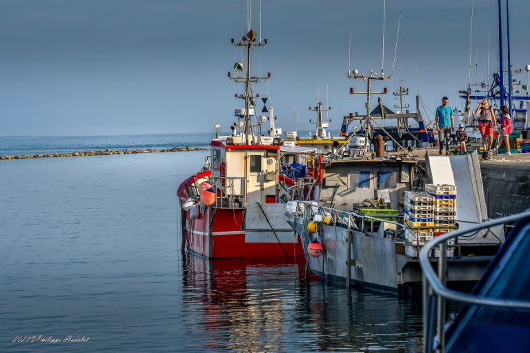 Une vue du Port Barneville-Carteret dans le Cotentin