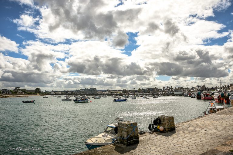 Une vue pittoresque de Barfleur et Cotentin, capturant leur charme authentique et historique.