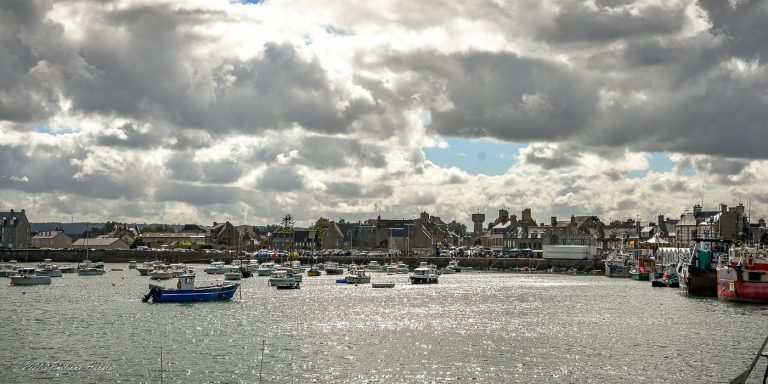 Une vue pittoresque de Barfleur et Cotentin, capturant leur charme authentique et historique.