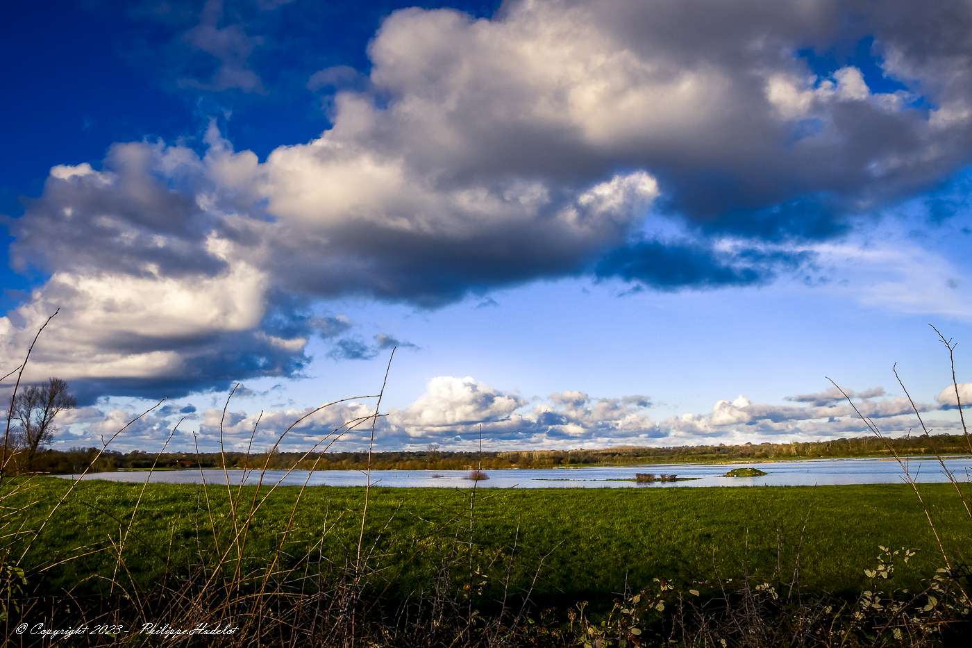 Cotentin, le Marais du bessin (Néhou) - Hudelot Philippe - Photographe