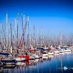 Découverte du Port de Cherbourg : Un Joyau Normand